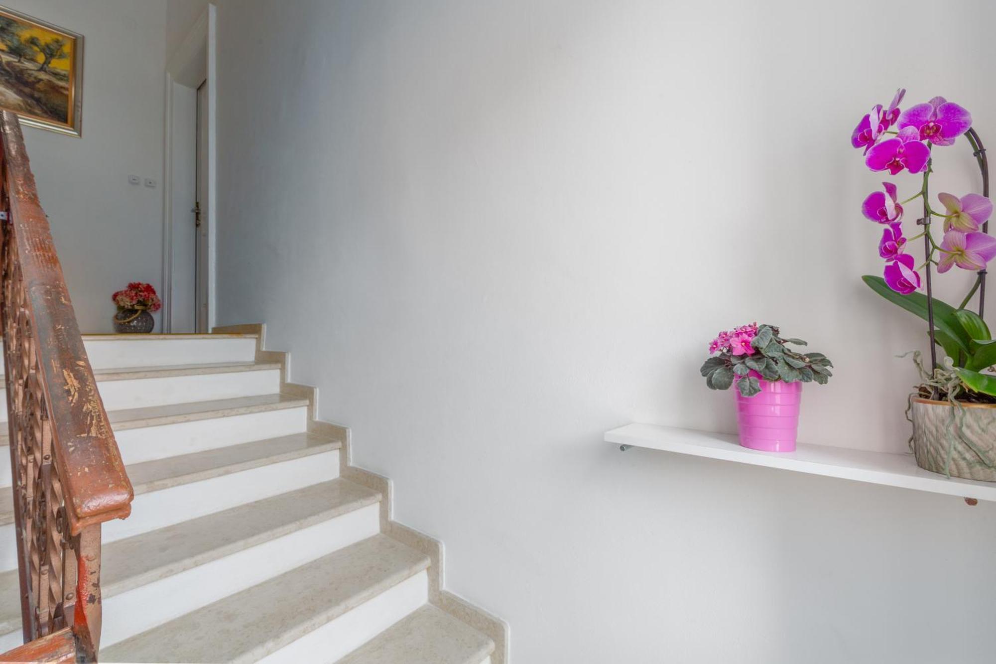 Premium Aria * Porec
